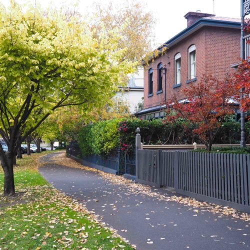 Larges houses on tree lined street