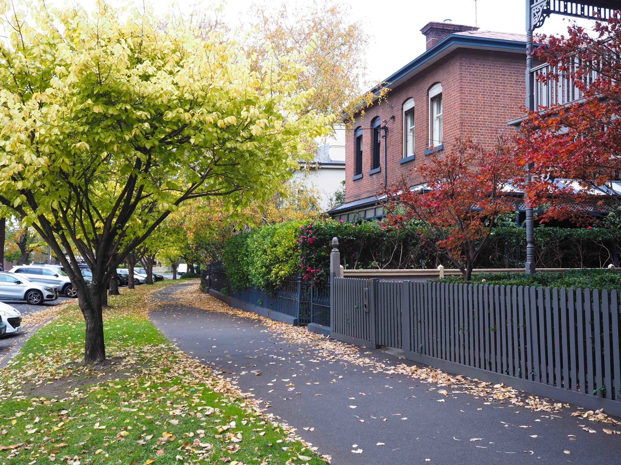 Larges houses on tree lined street