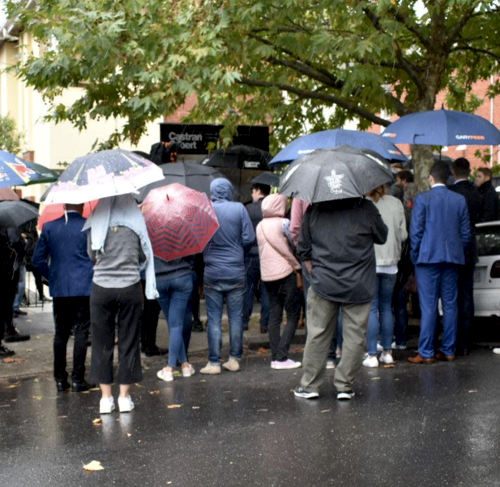 Rainy auction day, crowd with umbrellas